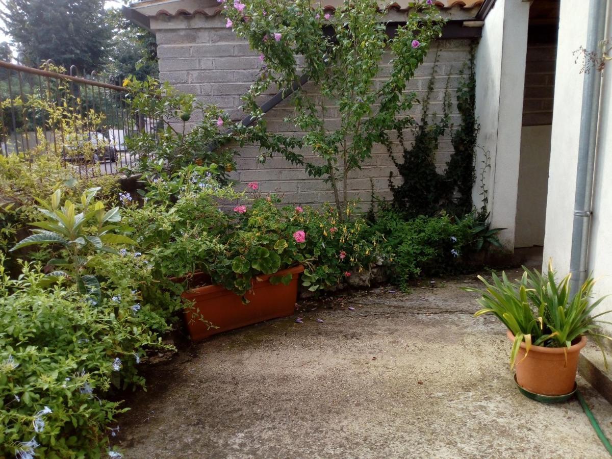Il Cactus Panzió San Giovanni Incarico Kültér fotó